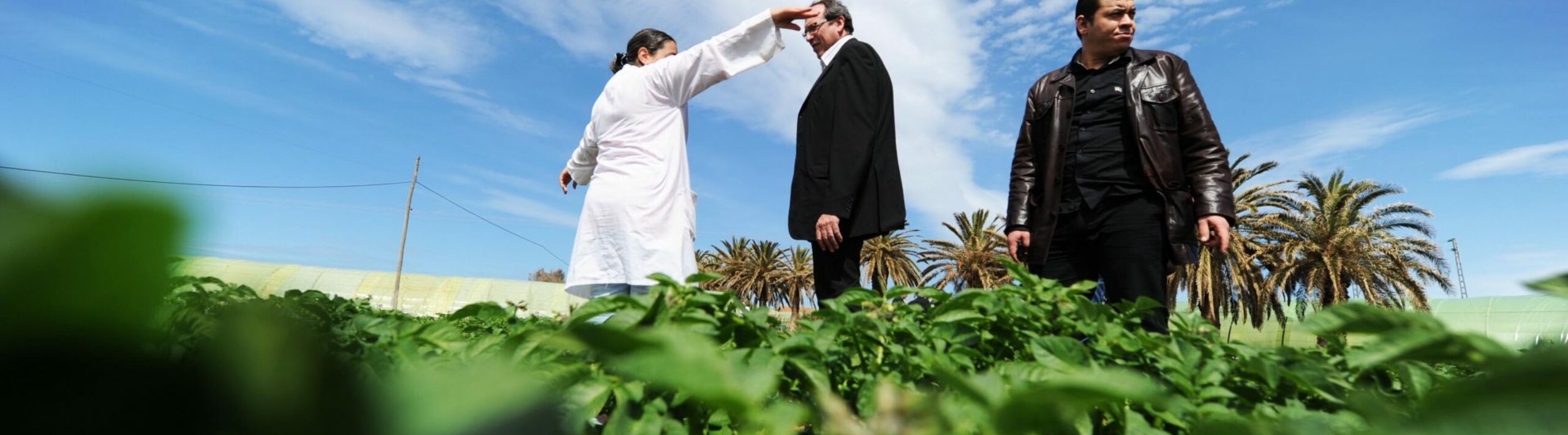 ENPI ALGERIA AGRICULTURE