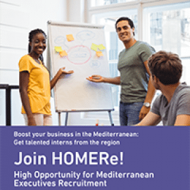 Leaflet_HOMERe