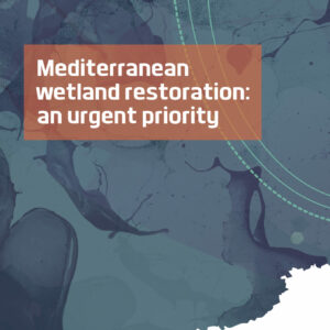 Restoration_policy-paper_summary_final-1